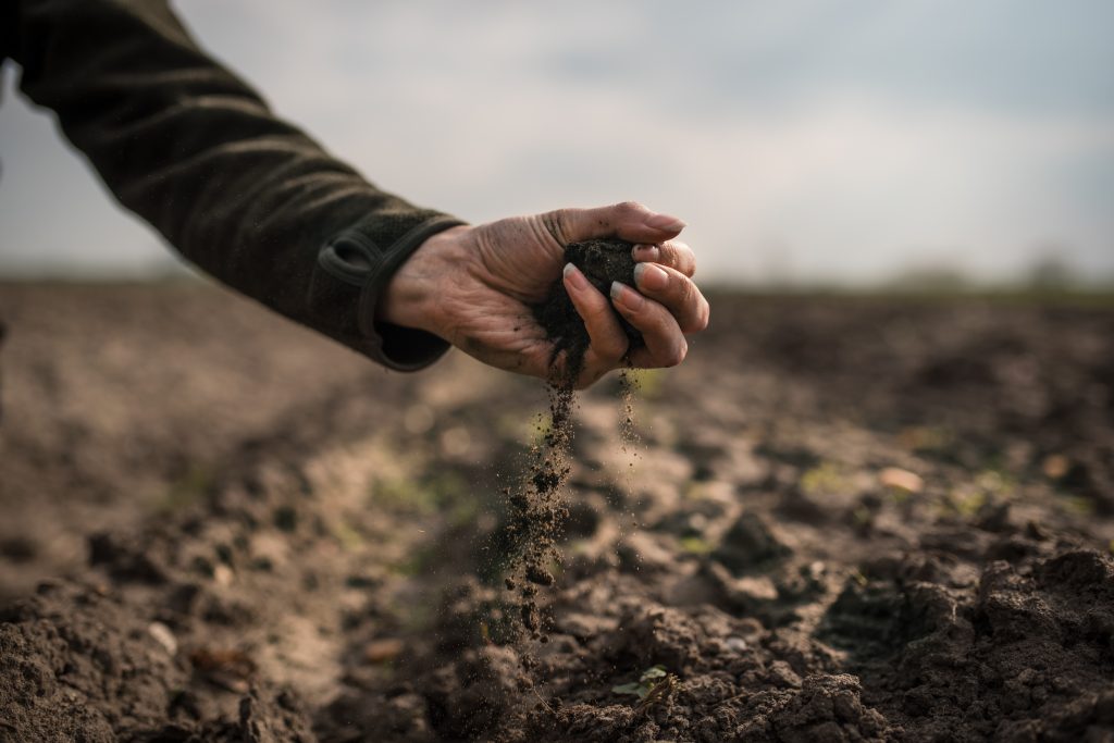 Reduce Valuable Nutrient Loss and Environmental Nitrate Issues in Water Using Mobilizer 2 Reduce Valuable Nutrient Loss and Environmental Nitrate Issues in Water Using Mobilizer