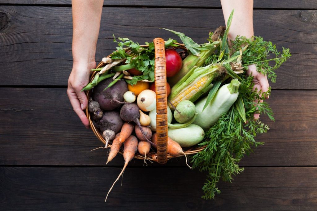 Why Choose Organic Garden Fertilisers?
