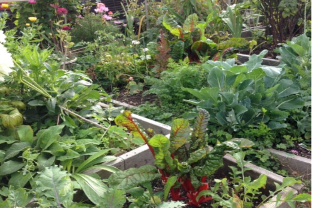 Getting Busy In Your Summer Garden
