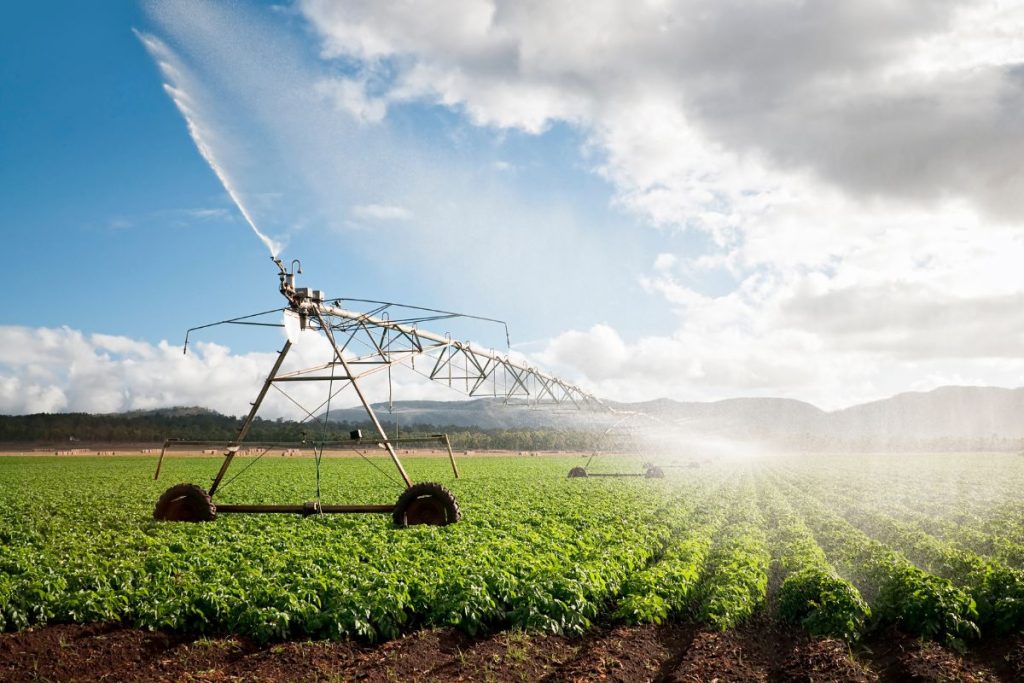 RSF Distributor and Consultants