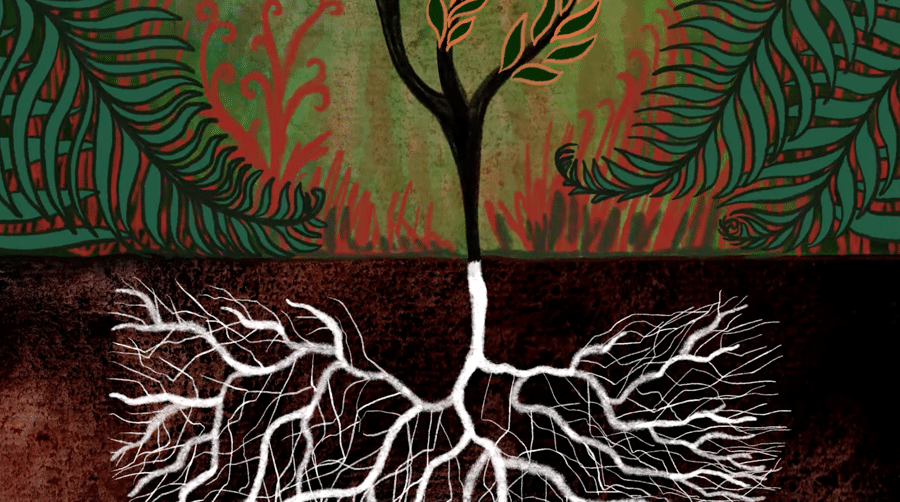 How Mycorrhizal Fungi Can Help Achieve Carbon Zero Goals And Support Your Plants!