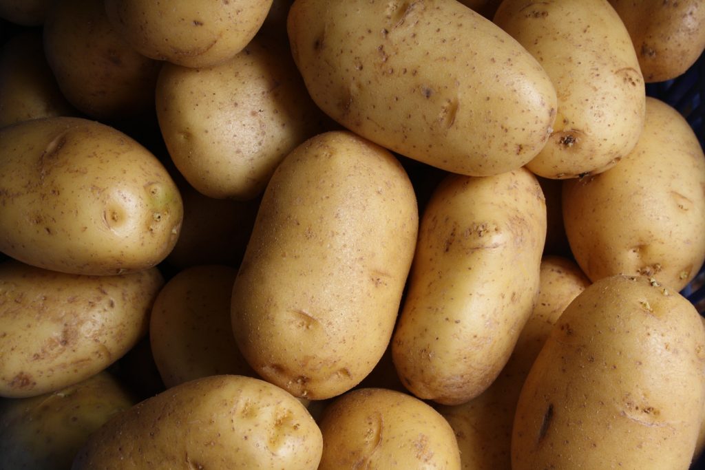 Mobilizer® increases potato weight by 40% 2 Mobilizer increases potato weight by 40%
