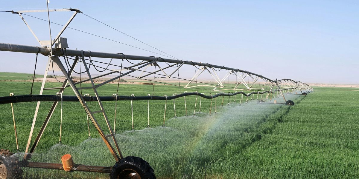 Dairy farmers: Increase dry matter and yield in cereal crops and winter grasses with advanced nutrition 4 mobilizer