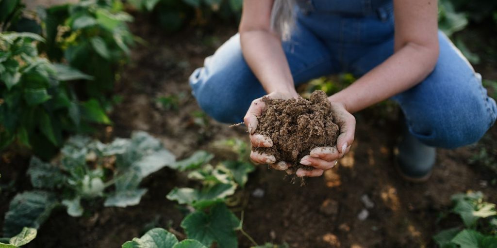 Regenerative gardening: How to build healthier soil and grow sustainably at home 13 Regenerative Gardening
