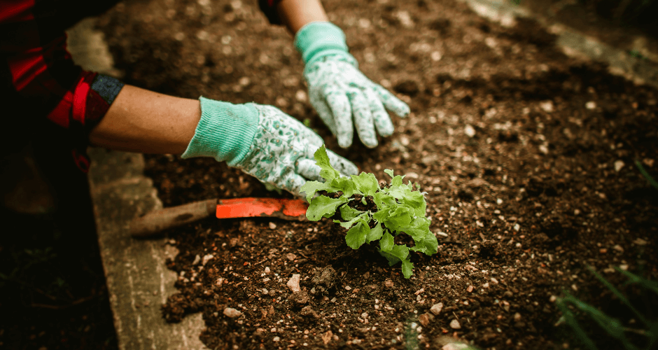 Soil Health