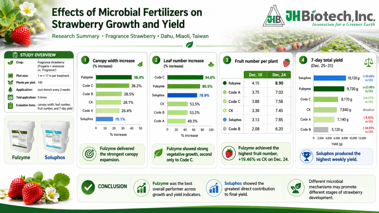 Effects of Microbial Fertilizers on Strawberry Growth and Yield Fulzyme 2